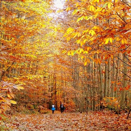 Aroma De Primavera En Casas Rurales Acebuche Casas del Monte Zewnętrze zdjęcie