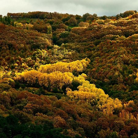 Aroma De Primavera En Casas Rurales Acebuche Casas del Monte Zewnętrze zdjęcie