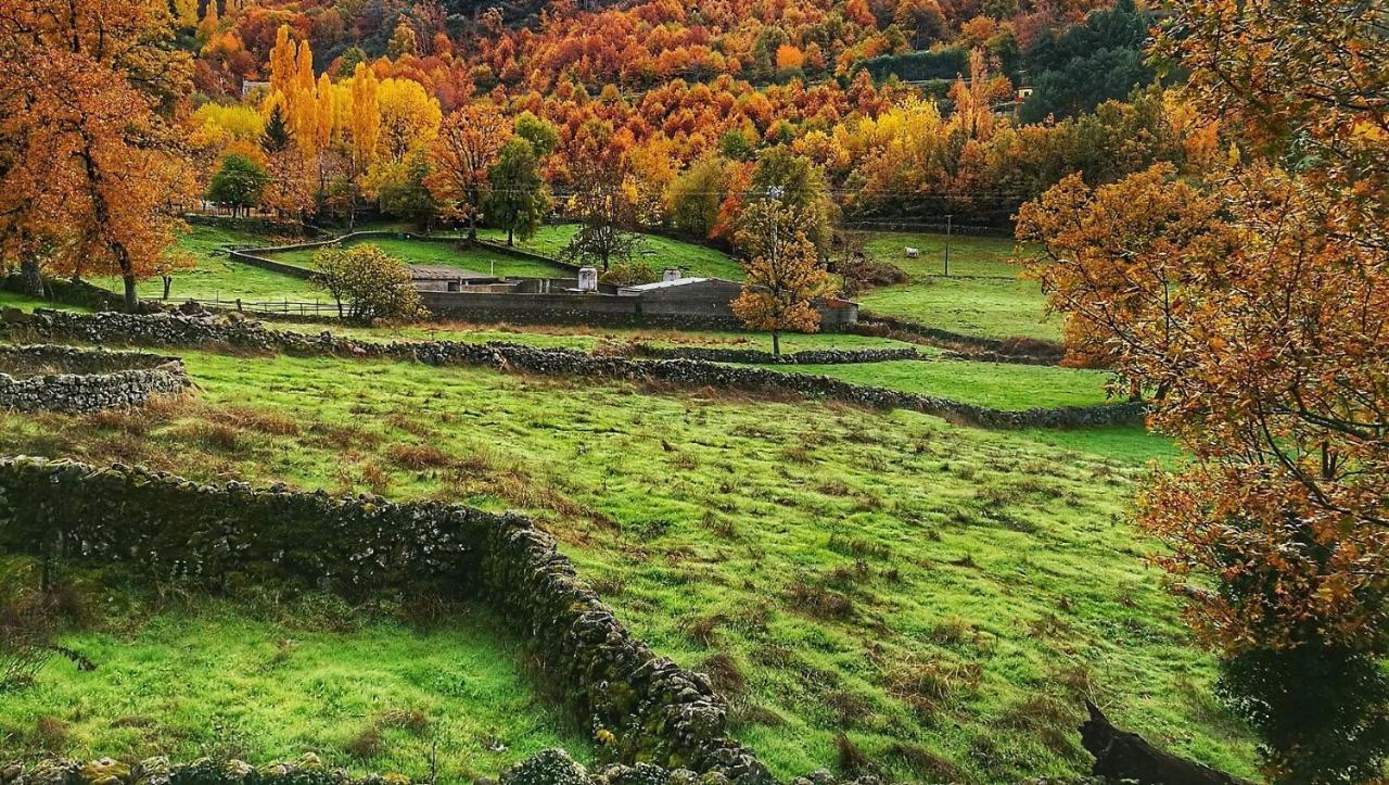 Aroma De Primavera En Casas Rurales Acebuche Casas del Monte Zewnętrze zdjęcie
