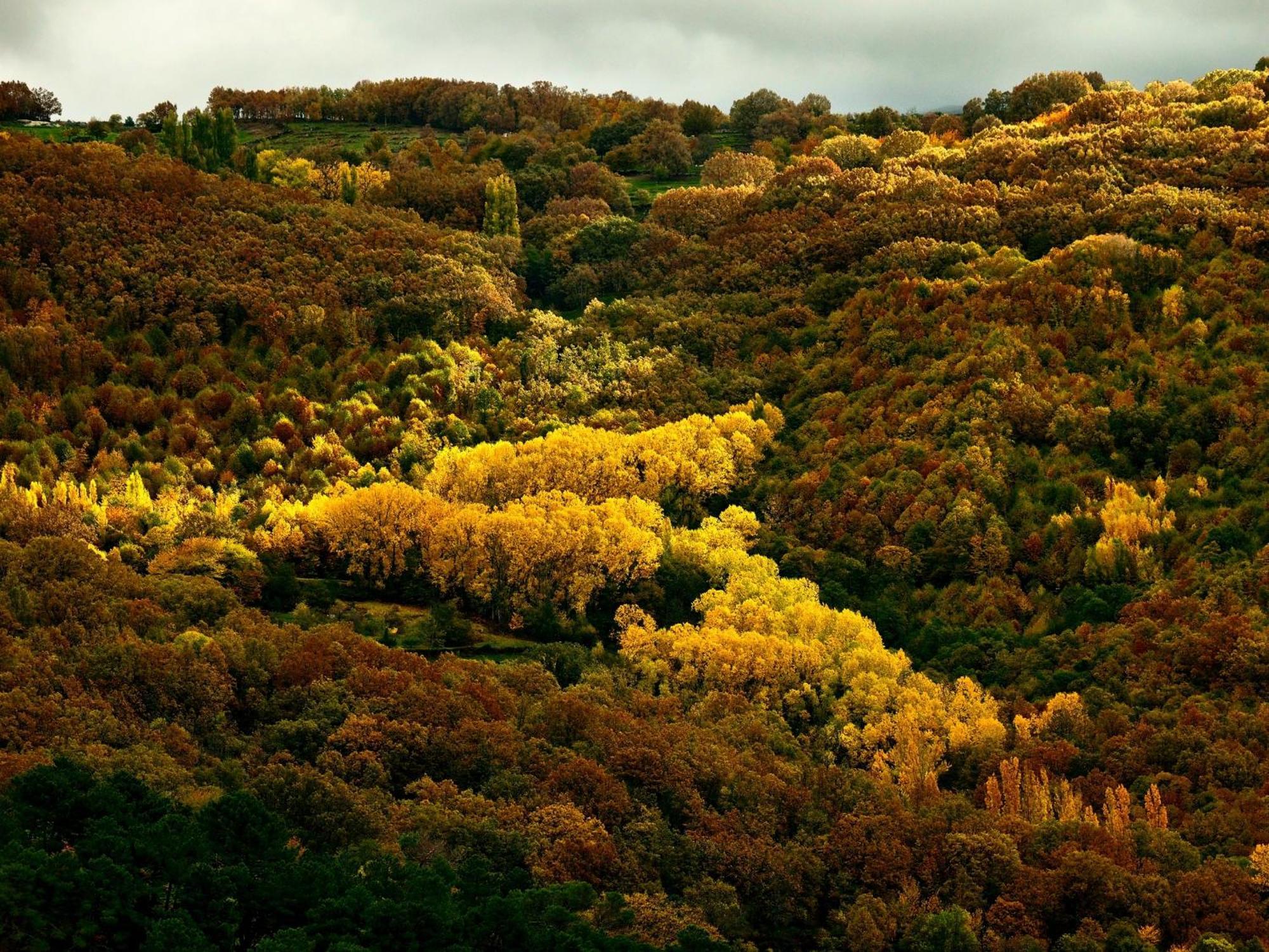 Aroma De Primavera En Casas Rurales Acebuche Casas del Monte Zewnętrze zdjęcie