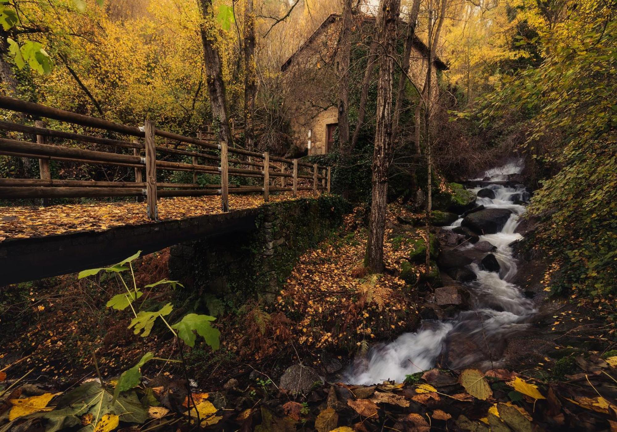 Aroma De Primavera En Casas Rurales Acebuche Casas del Monte Zewnętrze zdjęcie
