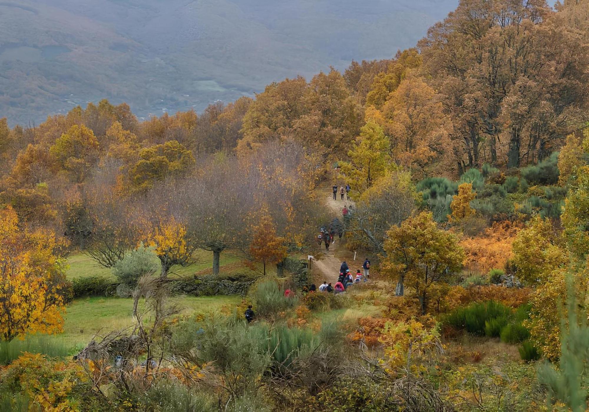Aroma De Primavera En Casas Rurales Acebuche Casas del Monte Zewnętrze zdjęcie