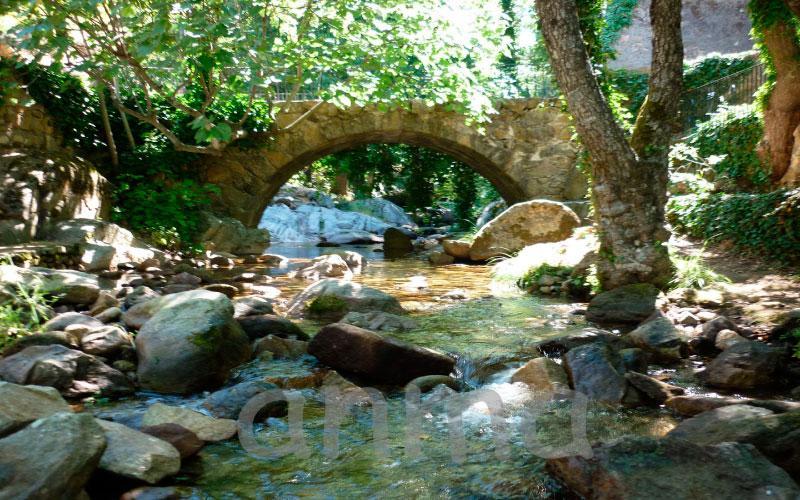 Aroma De Primavera En Casas Rurales Acebuche Casas del Monte Zewnętrze zdjęcie